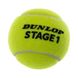 М'яч для великого тенісу DUNLOP STAGE 1 GREEN DL601338 3шт салатовий