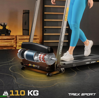 Беговая дорожка Trex Sport TX-500TM PULSO