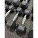 Набір шестигранних гантелей SteelStorm Hex 1-10 кг ( по парі) 110 кг