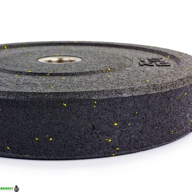 Блины (диски) бамперные для кроссфита Record RAGGY Bumper Plates ТА-5126-15 51мм 15кг черный