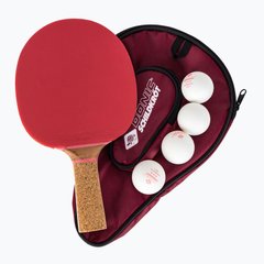 Набор для настольного тенниса Donic-Schildkrot Gift Set Persson 600