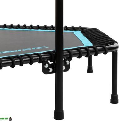Фитнес батут для джампинга шестиугольный с ручкой LiveUp LP8251 &oslash;135см черный-синий