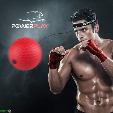 Файтбол набор 3 шт. PowerPlay 4320 Fight Ball Set