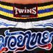 Шорты для тайского бокса и кикбоксинга TWINS NTBS-004 S черный
