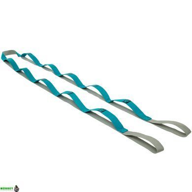 Стрічка для розтяжки Record Stretch Strap FI-1723 Фіолетовий 10 петель
