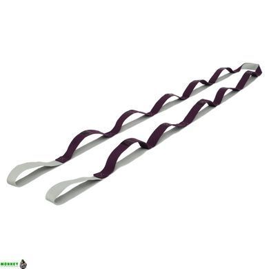 Стрічка для розтяжки Record Stretch Strap FI-1723 Фіолетовий 10 петель