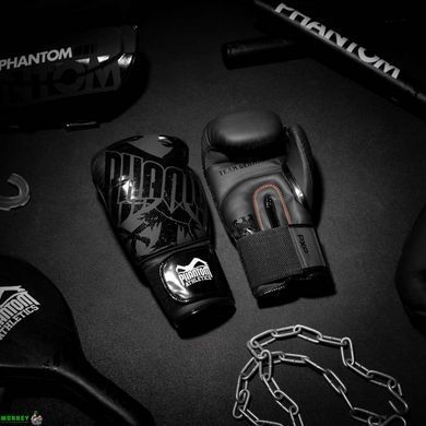 Боксерские перчатки Phantom Germany Eagle Black 10 унций (капа в подарок)