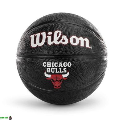 М'яч баскетбольний Wilson NBA TEAM TRIBUTE MINI BL