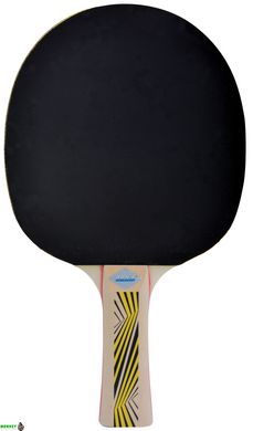 Ракетка для настольного тенниса Donic-Schildkrot Legends 500 FSC