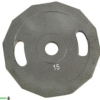 Блины (диски) стальные окрашенные Champion Newt NT-5221-15 52мм 15кг серый
