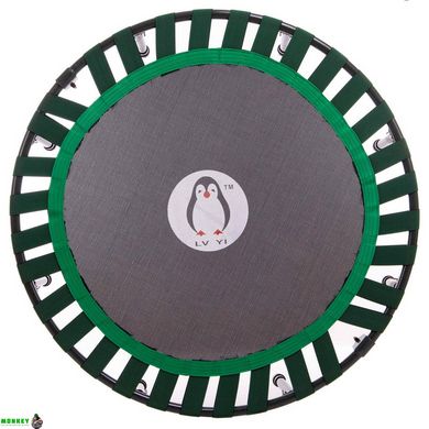 Фітнес батут круглий FI-2906 102см чорний-зелений