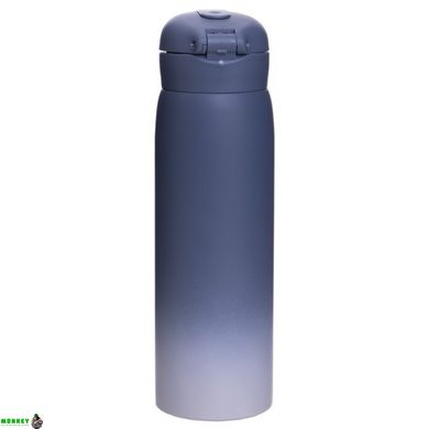Бутылка термос VITALITY SP-Sport FI-2832 500мл цвета в ассортименте