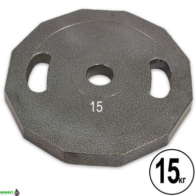 Блины (диски) стальные окрашенные Champion Newt NT-5221-15 52мм 15кг серый