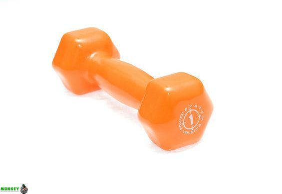 Гантелі для фітнесу і аеробіки обгумовані Power System 1 kg PS-4024 Orange (1 шт)
