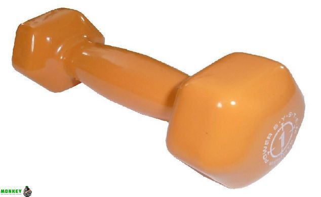 Гантелі для фітнесу і аеробіки обгумовані Power System 1 kg PS-4024 Orange (1 шт)