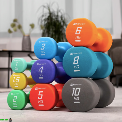 Гантели для фитнеса неопреновые круглые Hop-Sport HS-V010DR 2x1кг бирюзовый
