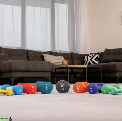 Гантели для фитнеса неопреновые круглые Hop-Sport HS-V010DR 2x1кг бирюзовый