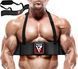 Изолятор для бицепса (армбластер) RDX T2 Arm Blaster Black