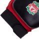 Перчатки вратарские детские LIVERPOOL BALLONSTAR FB-0028-06 5 размер красный-желтый