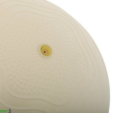 М'яч для пілатесу та йоги BLOOM MINI PILATES BALL LB7001-20 20 см білий
