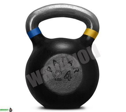 Гиря чавунна чорна 24 кг