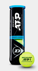 Dunlop2