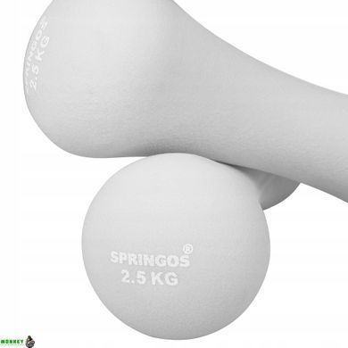 Гантелі вінілові Springos 2 x 2.5 кг FA1041