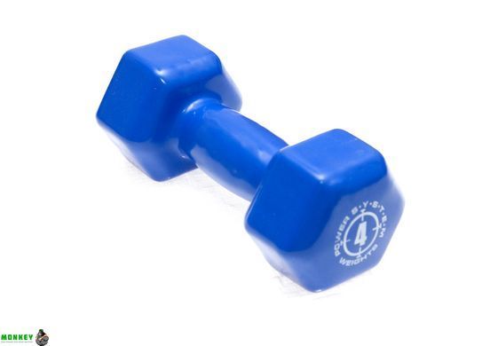 Гантелі для фітнесу і аеробіки обгумовані Power System 4 kg PS-4027 Blue (1 шт.)