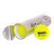 Мяч для большого тенниса TELOON Z-TUOR T818P3 3шт салатовый