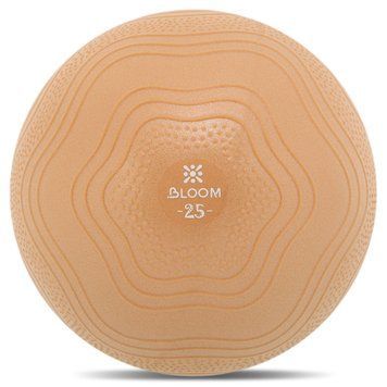 Мяч для пилатеса и йоги BLOOM MINI PILATES BALL LB7001-25 25 см коричневый