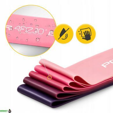 Резинки для фітнесу 4FIZJO Mini Power Band набір 5 шт 1-20 кг Pink (P-5907739311443)