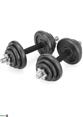 Набір гантелі в кейсі Gymtek чавунні 2х10кг