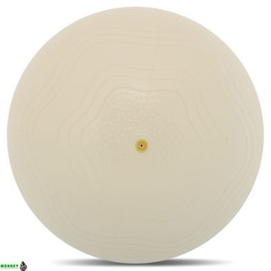 М'яч для пілатесу та йоги BLOOM MINI PILATES BALL LB7001-30 30 см білий