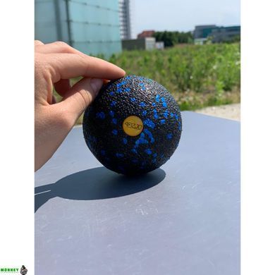 Массажный мяч 4FIZJO EPP Ball 08 4FJ1257 Black/Blue