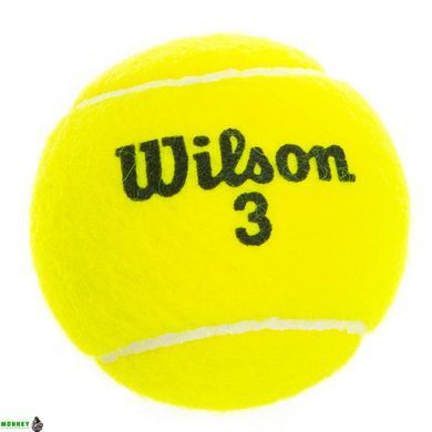 Мяч для большого тенниса WILSON AUSTRALIAN OPEN T1130 4шт салатовый