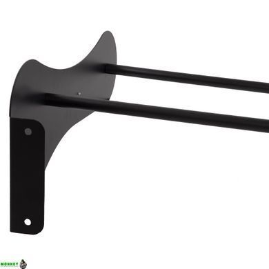 Кронштейн настенный для фитболов Zelart TA-9595 черный