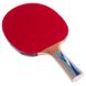 Набор для настольного тенниса DONIC LEVEL 600-800 МТ-752518 1 ракетка 2 накладки