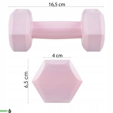 Гантели Springos Hex 2 x 0.5 кг FA1029