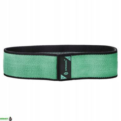 Резинка для фитнеса и спорта тканевая Springos Hip Band Size L FA0111