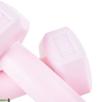 Гантели Springos Hex 2 x 0.5 кг FA1029