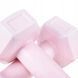 Гантели Springos Hex 2 x 0.5 кг FA1029