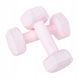 Гантели Springos Hex 2 x 0.5 кг FA1029