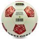 М'яч футбольний OFFICIAL BALLONSTAR FB-0172-3 №5 PU червоний