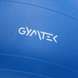 Фитбол Gymtek 65 см синий + насос