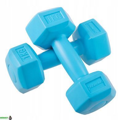 Гантелі Springos Hex 2 x 1 кг FA1030