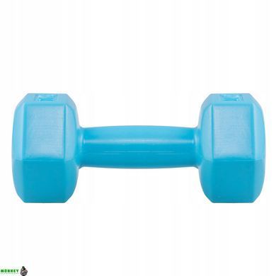 Гантелі Springos Hex 2 x 1 кг FA1030