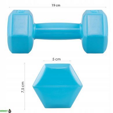Гантелі Springos Hex 2 x 1 кг FA1030