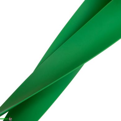 Резинка для фітнесу LOOP BANDS Zelart FI-2596-XH зелений
