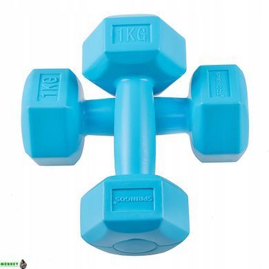 Гантелі Springos Hex 2 x 1 кг FA1030