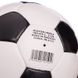 М'яч футбольний Leather BALLONSTAR FB-0173 №5